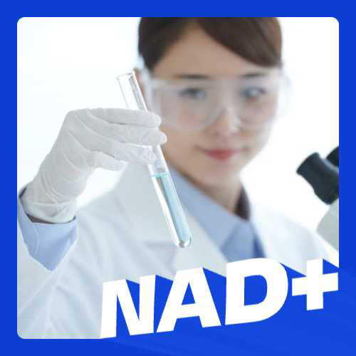 How to boost NAD+? Your choice matters