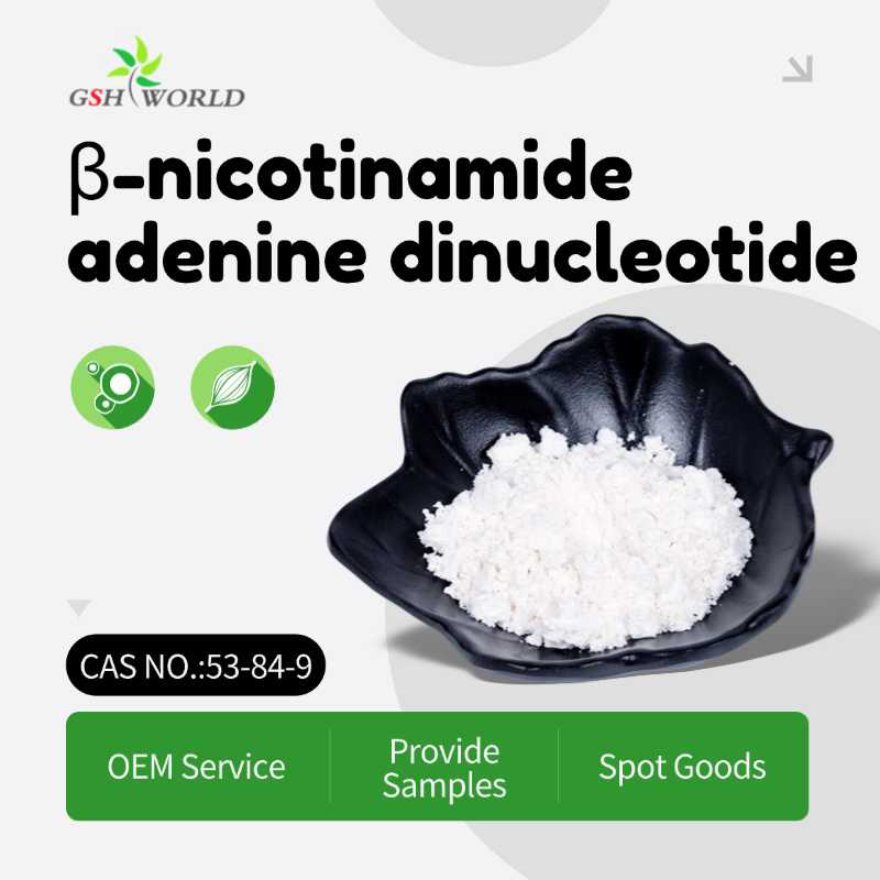 NAD+:  Core Coenzyme for Health Protection