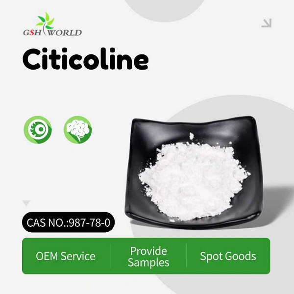 Auxiliary Role of Citicoline in Ocular Nerves