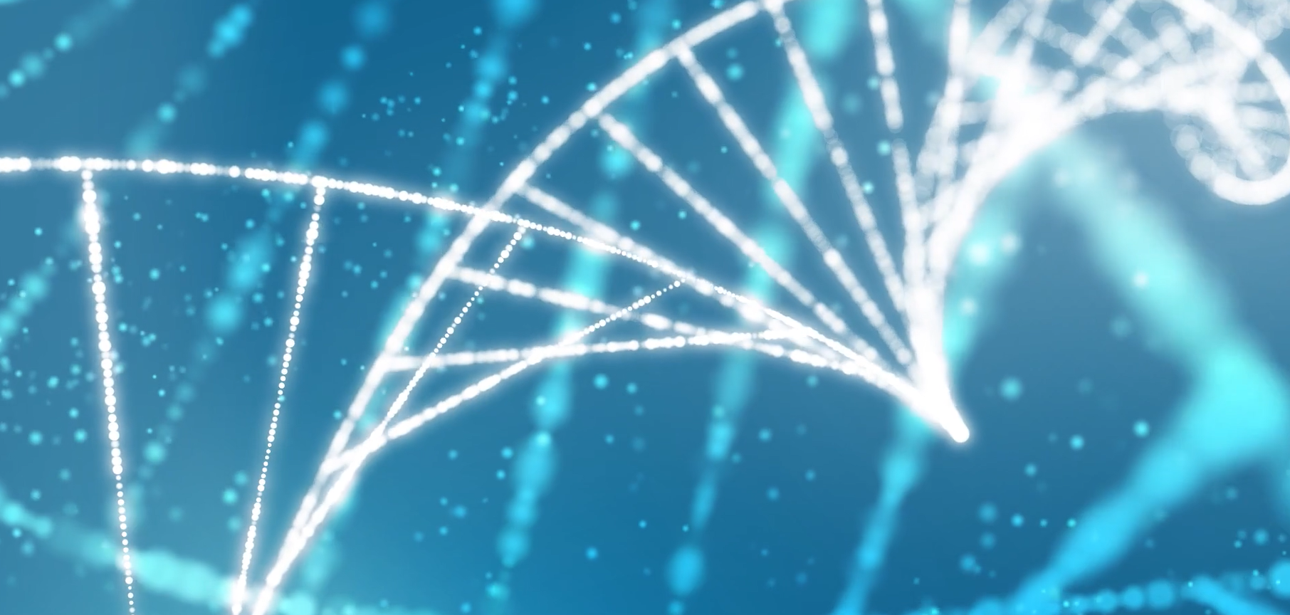 Human Clinical Trials Further Validate Practical Value of Oral NMN and NR