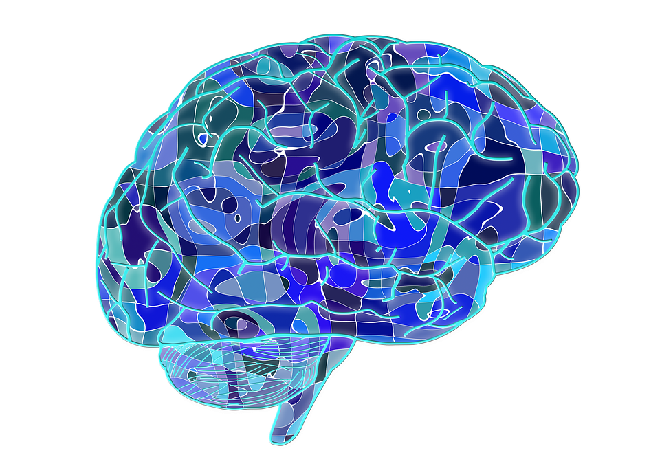 brain-951874_960_720 brain-951874_960_720