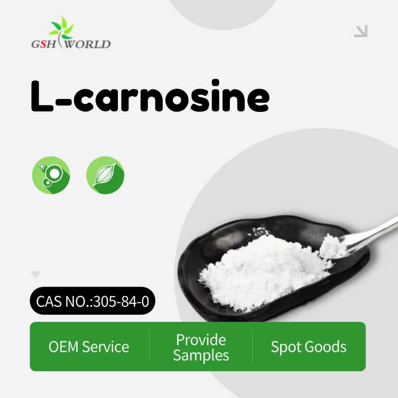 Carnosine — An Endogenous Dipeptide Attracting Scientific Attention